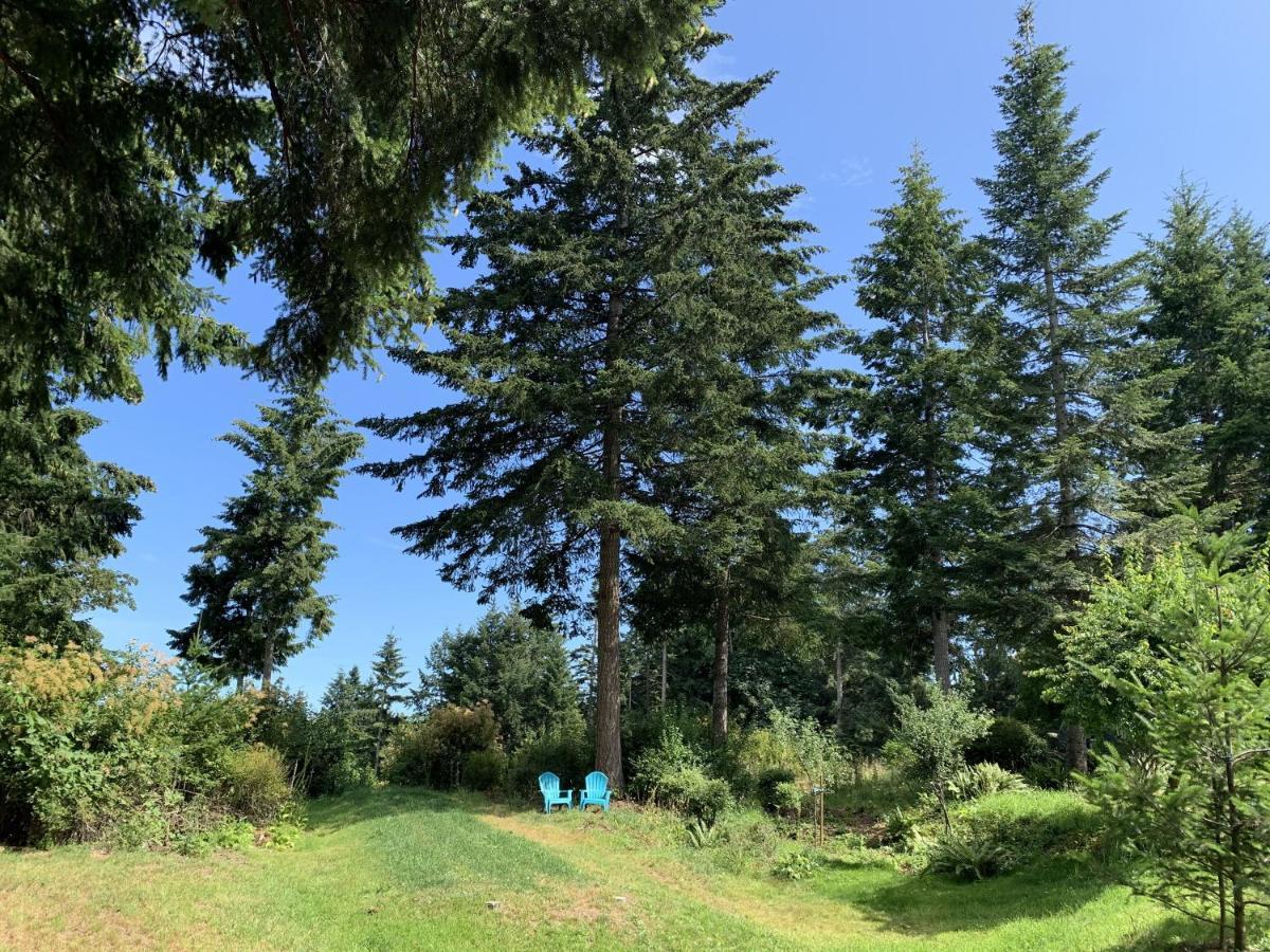 Forest By The Sea Rentals Merville Esterno foto