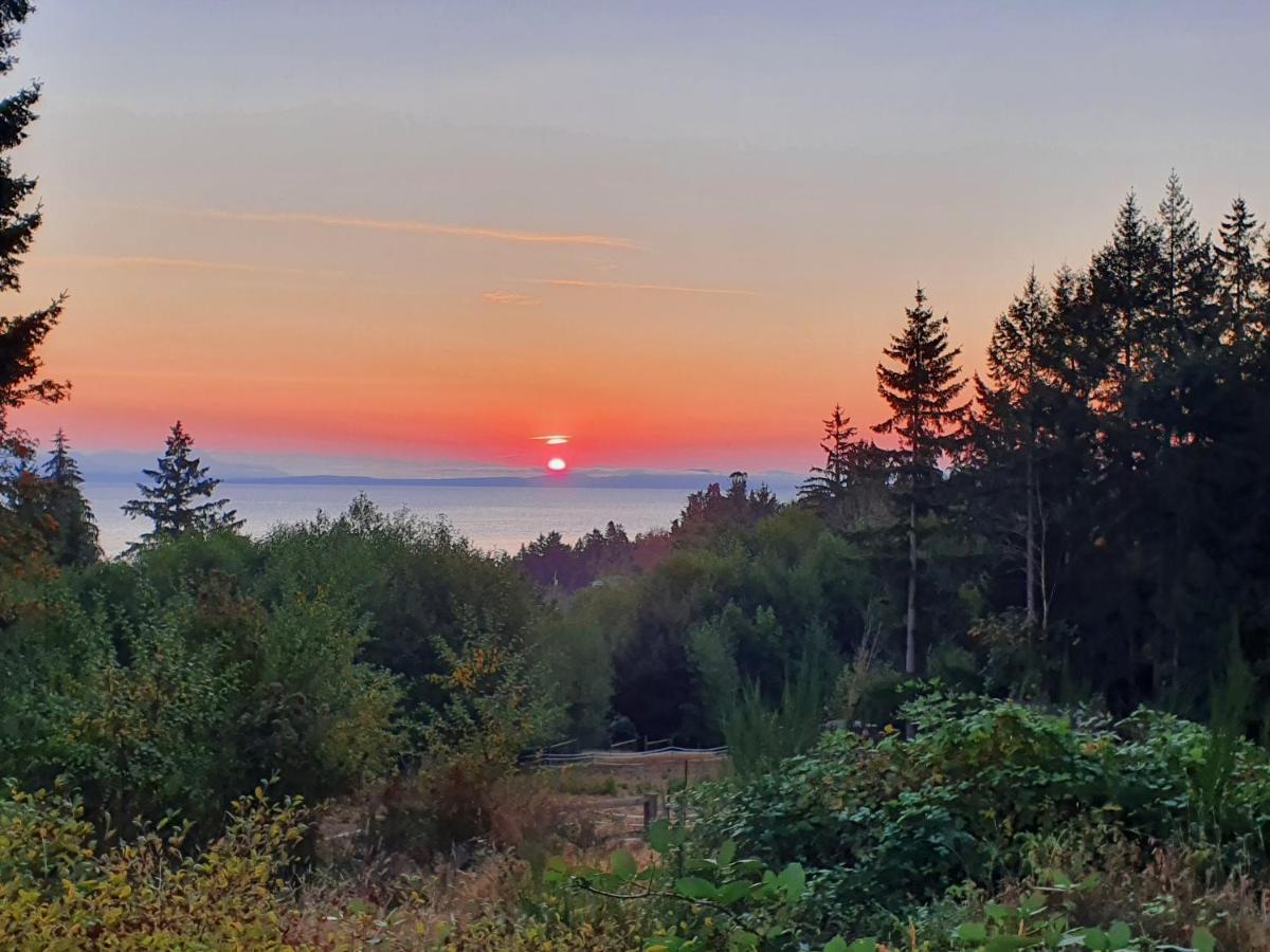 Forest By The Sea Rentals Merville Esterno foto