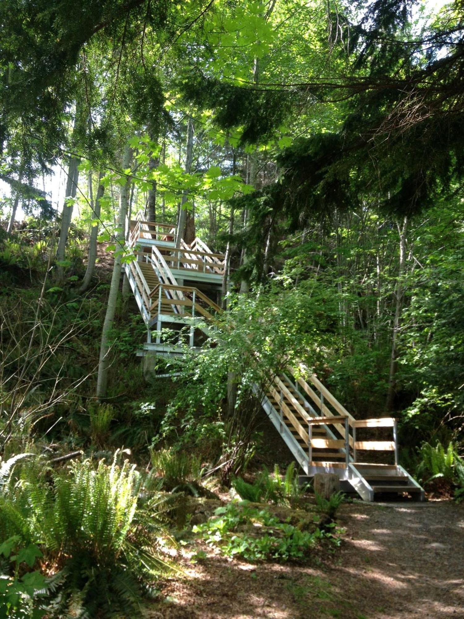 Forest By The Sea Rentals Merville Esterno foto