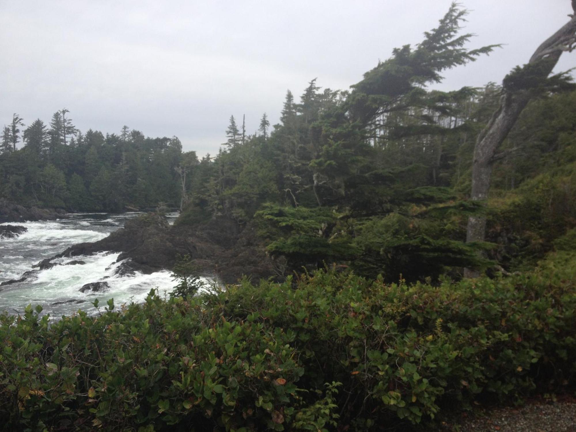 Forest By The Sea Rentals Merville Esterno foto