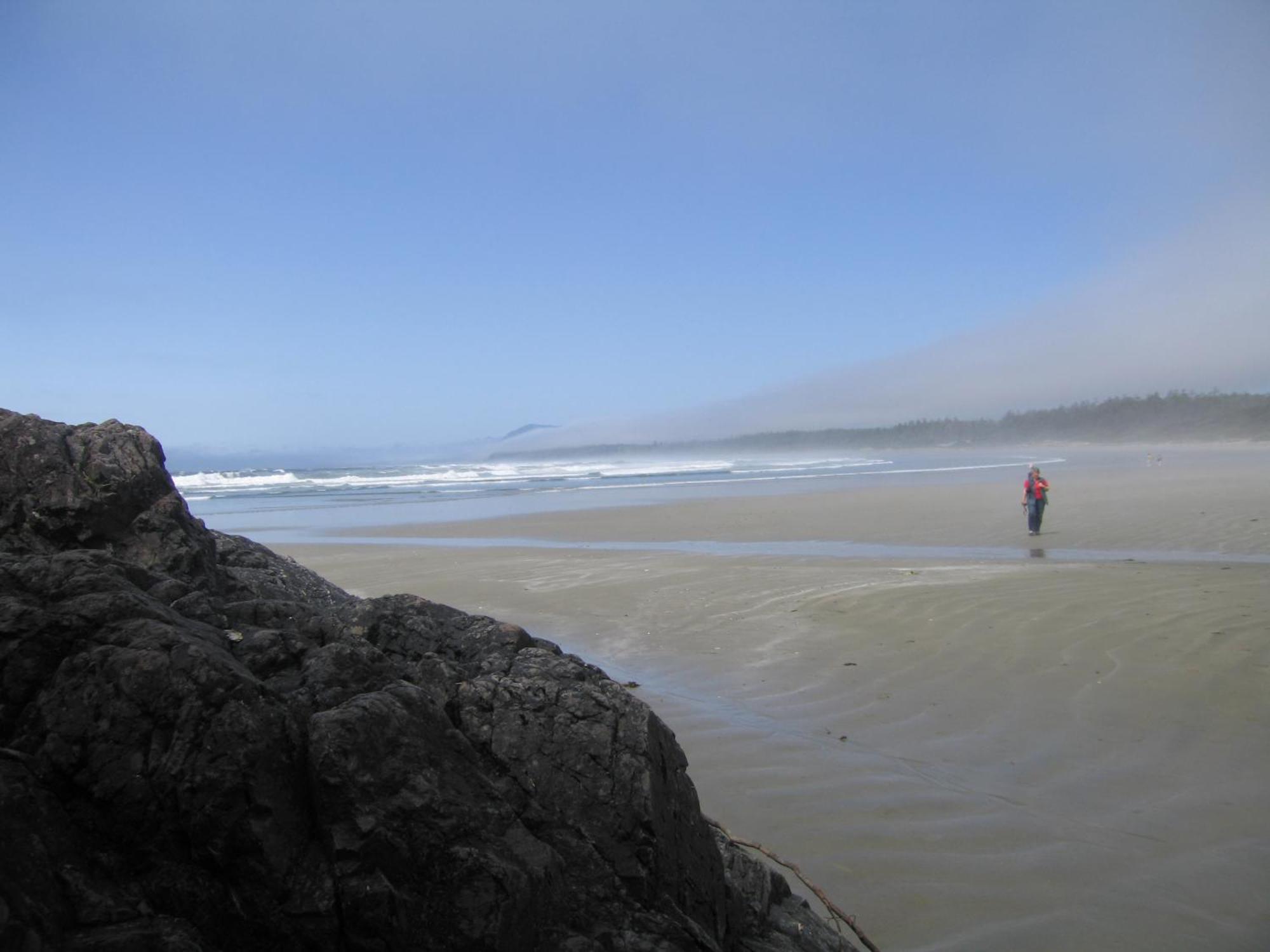 Forest By The Sea Rentals Merville Esterno foto