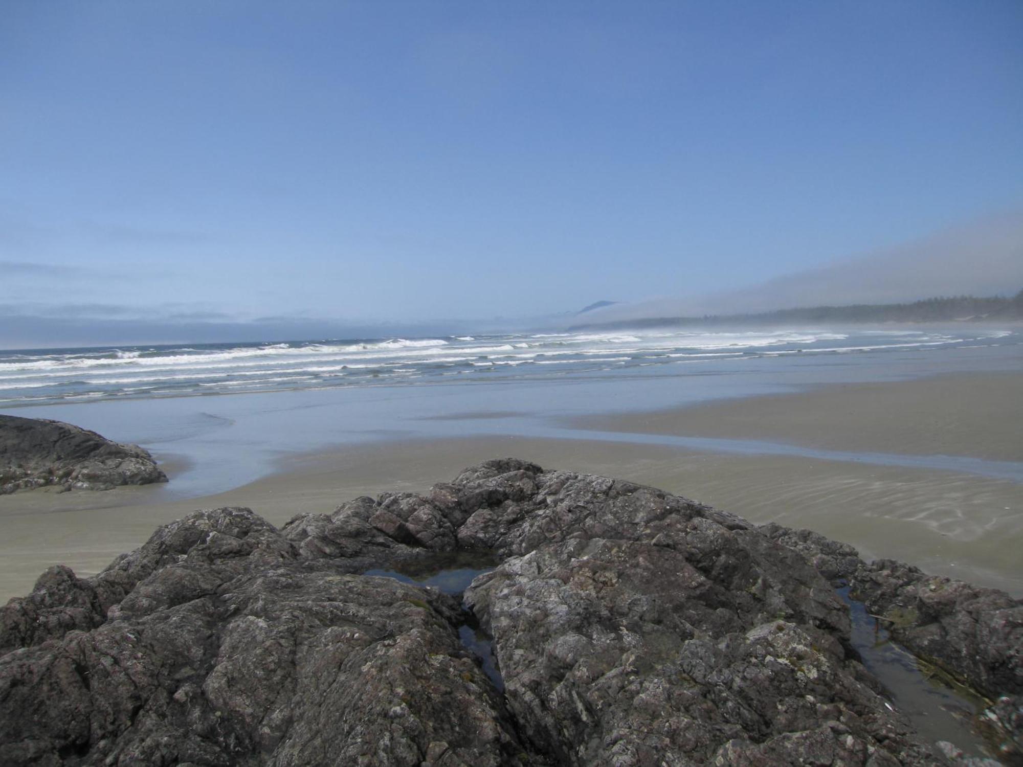 Forest By The Sea Rentals Merville Esterno foto