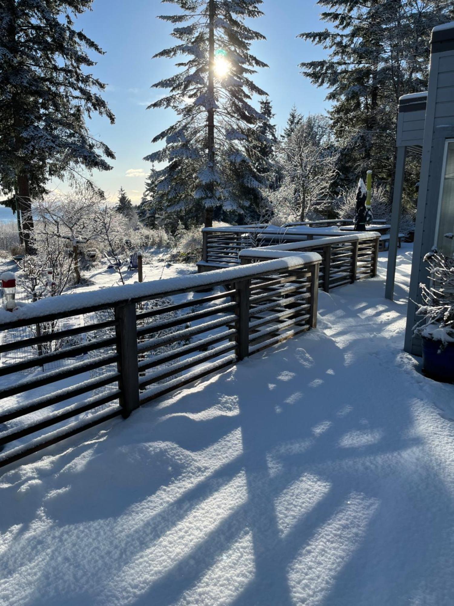 Forest By The Sea Rentals Merville Esterno foto